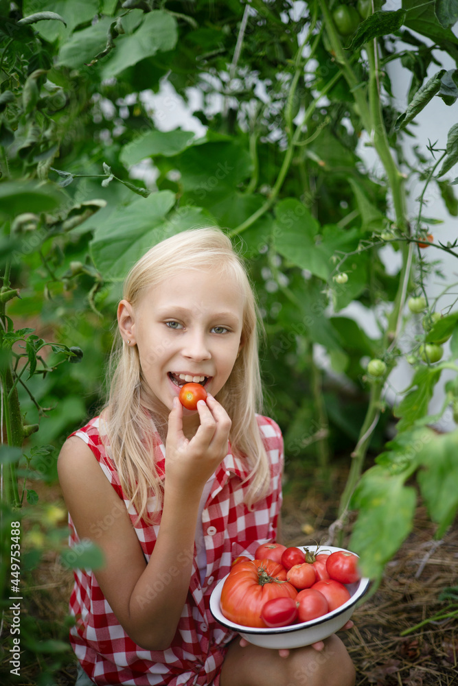 A beautiful blonde teenage girl in a plaid shirt is sitting in a greenhouse smiling and holding a juicy tomato in her hands. A beautiful blonde teenage girl in a plaid shirt is sitting in a greenhouse smiling and holding a juicy tomato in her hands.