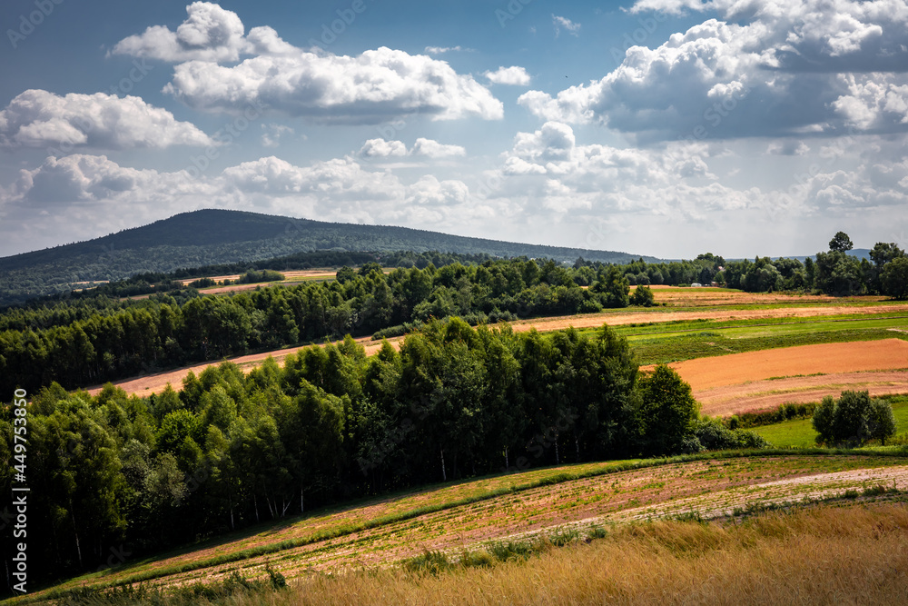 A picturesque countryside panorama of hilly, golden fields, green forest and Lysica Mountain. Swietokrzyskie Mountains, Poland.
