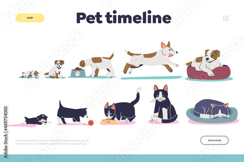 Fototapeta Naklejka Na Ścianę i Meble -  Pet timeline concept of landing page with cat and dog growth stages small kitten or puppy to adult