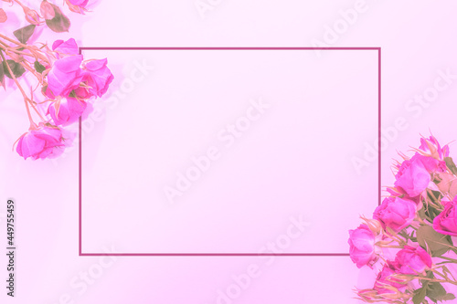 Beautiful delicate background with pink roses and a frame for your text. Flat lay, background for congratulations, template.
