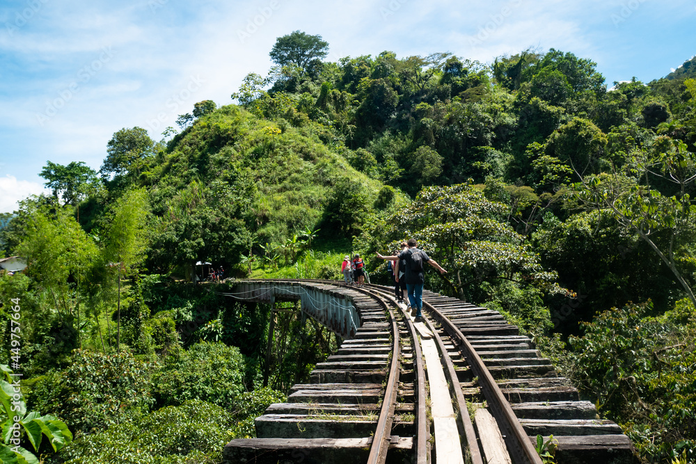 Many Tourists Walking Across the Bridge of the Old Rustic Railroad in the Middle of a Forest Full of Trees on a Sunny Day