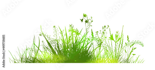Wallpaper Mural Grass silhouette. green grass with flowers. Vector illustration Torontodigital.ca