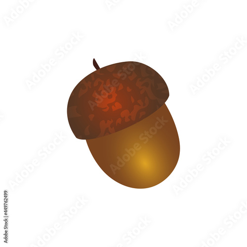 Oval flat art acorn in warm rich Autumn golden brown and dark brown colors isolated in a white background