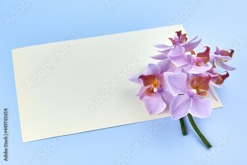 Blank paper with orchids on a blue background.
