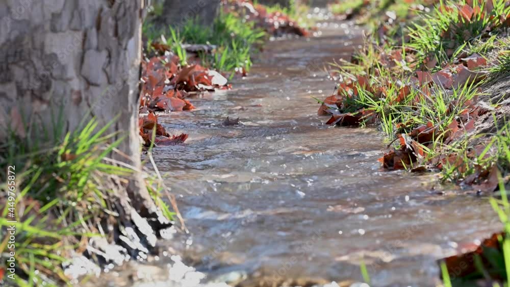 Water running in an irrigation duct, in autumn. Water running in an irrigation duct, in autumn.