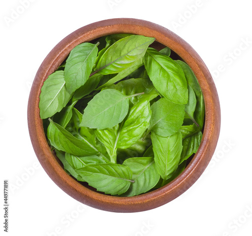 Fresh basil leaves in a wooden bowl isolated on white background. Top view.