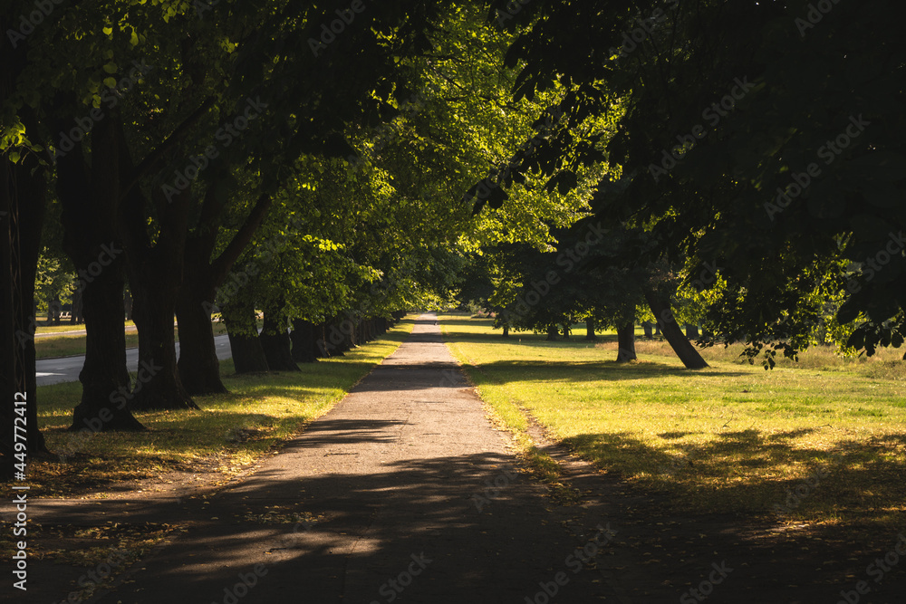 Obraz premium Beautiful green street looking as a trees tunnel in Uzvaras Victory Park from Riga, the capital city of Latvia, famous European baltic country