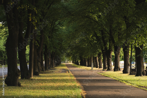 Beautiful green street looking as a trees tunnel in Uzvaras Victory Park from Riga, the capital city of Latvia, famous European baltic country