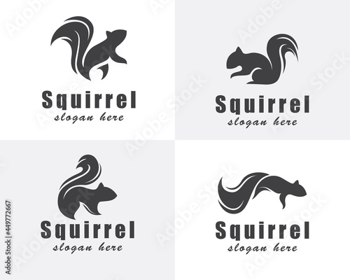 squirrel logo creative set black vector design template