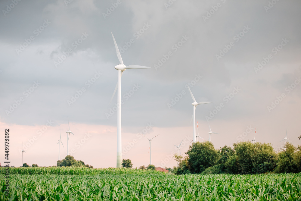 Wind turbines next to a field with corn in summer. Green energy in Germany. Wind energy Wind turbines next to a field with corn in summer. Green energy in Germany. Wind energy