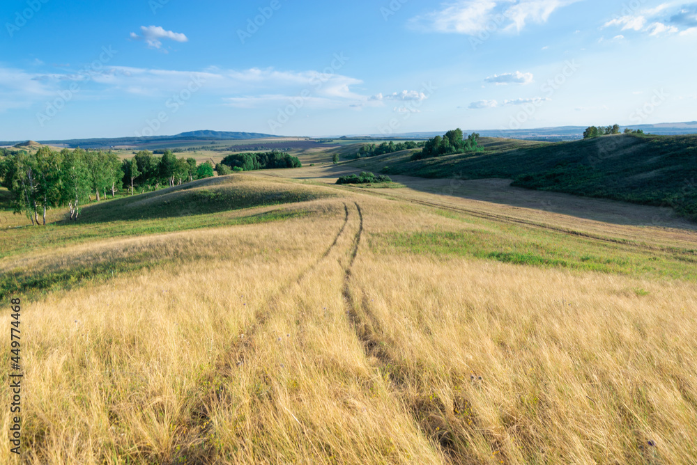 Hills, yellow grass and green forest. Beautiful nature.