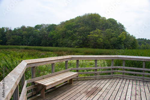 Tranquil boardwalk through the scenic swamp in a national park full of wildness and foliage
