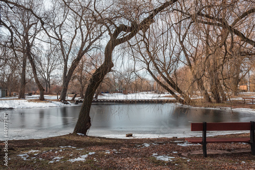 Canvas Print frozen lake in the park leafless trees bench winter landscape