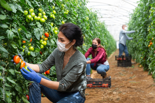 Photography Asian woman in a mask with tomatoes