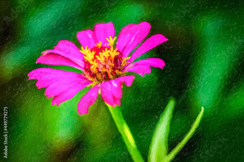 Zinnia Digital Painting