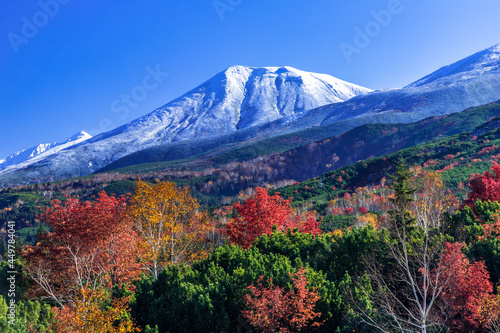 紅葉と雪のコラボレーション、北海道十勝岳望岳台