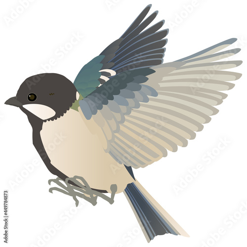 かわいい野鳥シジュウカラのはばたく ベクターイラスト 