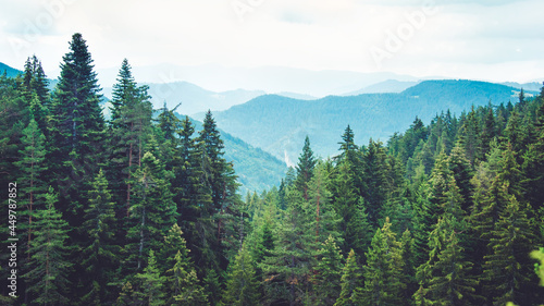 Obraz na płótnie Mountain view at the pine forest covered hills. w salonie