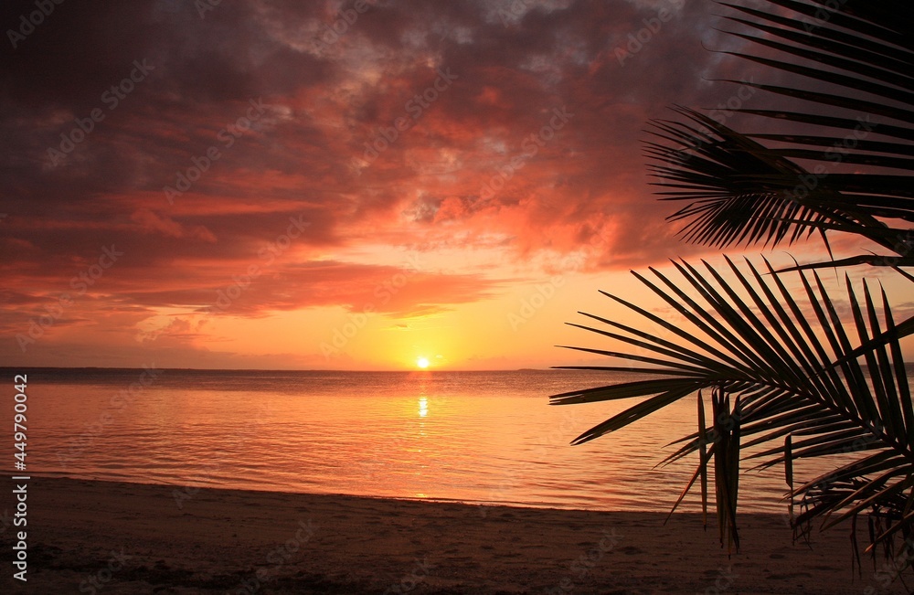 fiery sunset on beach with palm leaf in tonga