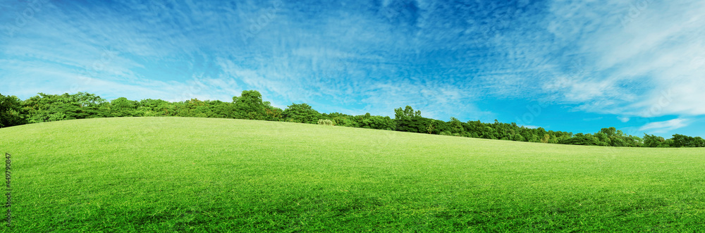 Green natural view of Green grass meadow field in public park with green trees and blue sky in background. Green natural view of Green grass meadow field in public park with green trees and blue sky in background.