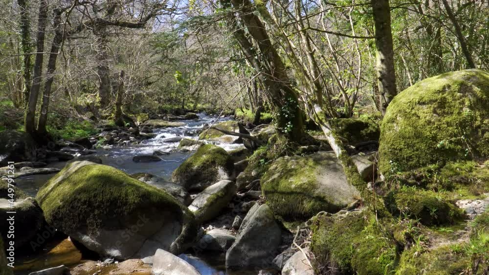 Fresh water flowing down the river teign in Dartmoor national park. Some mossy stones in the middle of the river. Fresh water flowing down the river teign in Dartmoor national park. Some mossy stones in the middle of the river.