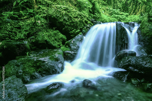 waterfall in the forest