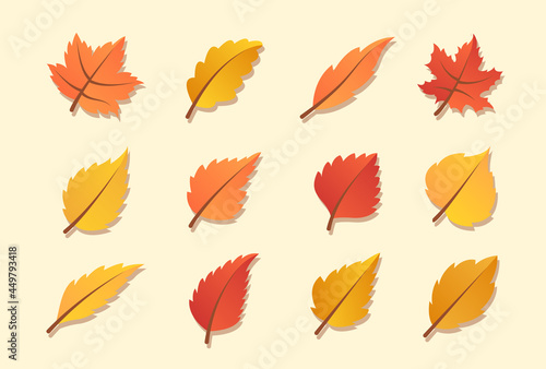 Autumn leaves or fall foliage icons. Vector isolated set of maple, oak or birch and rowan tree leaf. Falling poplar, beech or elm and aspen autumn leaves for seasonal holiday greeting card design