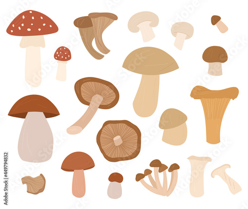 Mushrooms set Vector hand drawn cartoon illustration isolated 