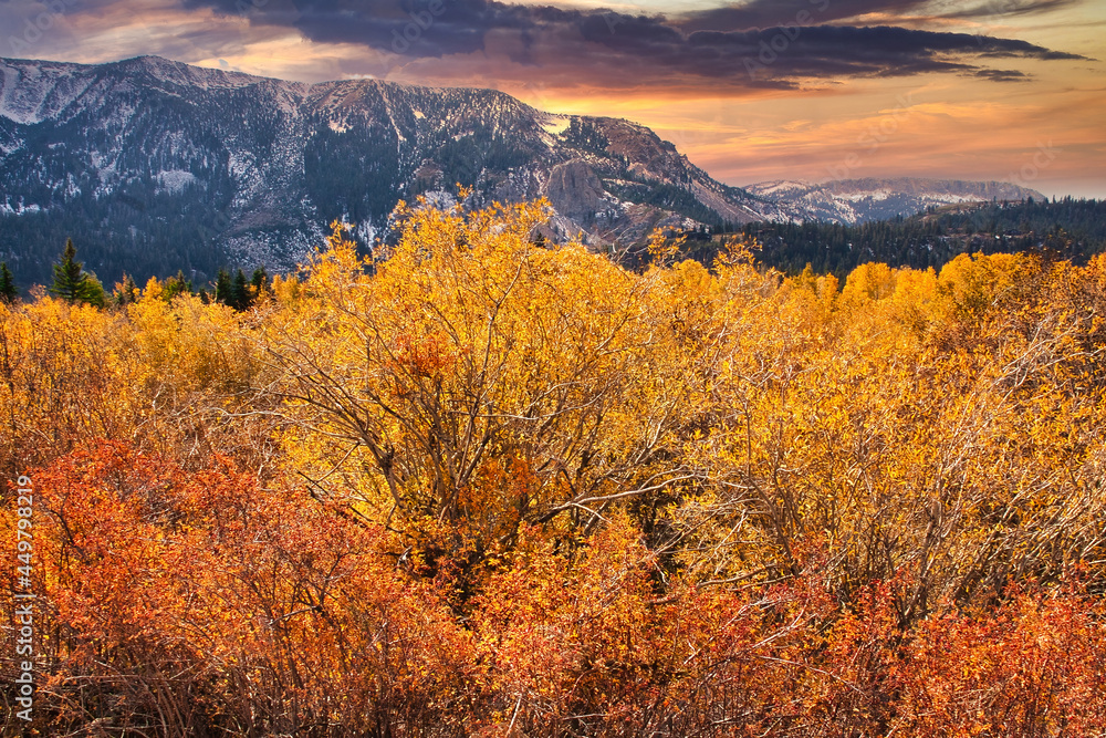 Fototapeta premium hiking at Mammoth California in the fall