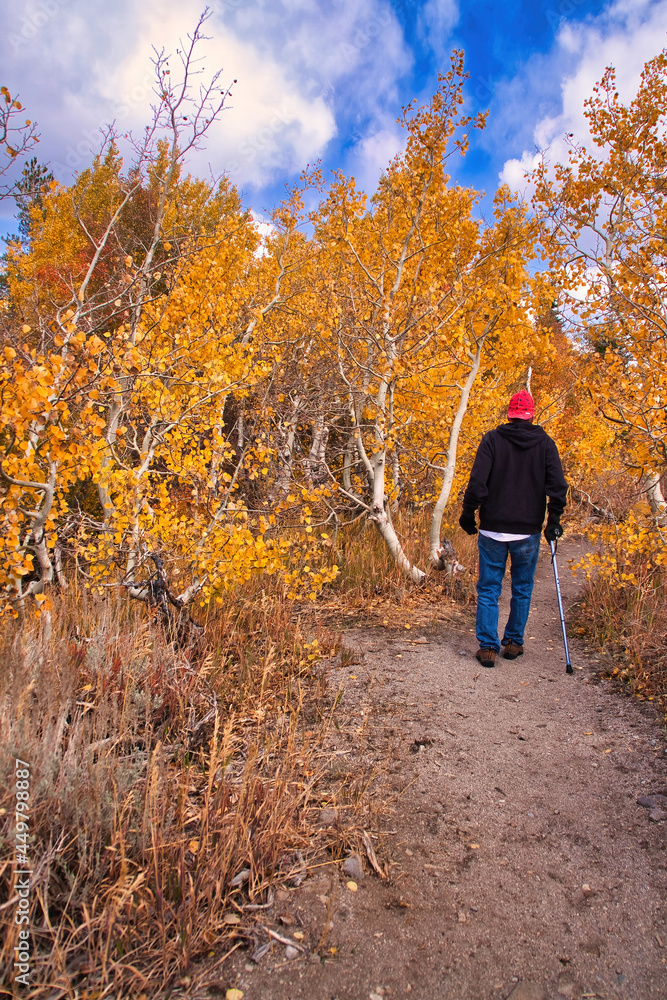 Fototapeta premium hiking at Mammoth California in the fall