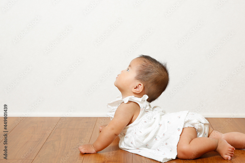 まだ0歳児の可愛い女の子。はいはいができるようになった可愛い赤ちゃんの画像です。 まだ0歳児の可愛い女の子。はいはいができるようになった可愛い赤ちゃんの画像です。