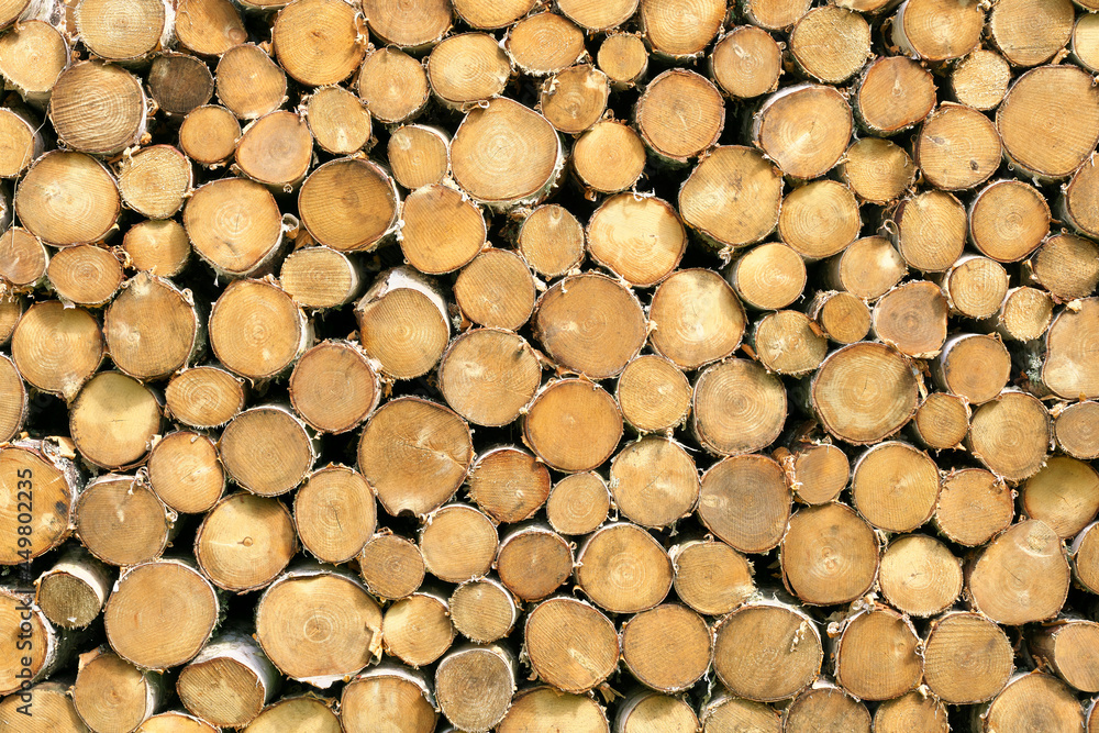 Birch logs background. Neatly stacked firewood. Birch logs background. Neatly stacked firewood.