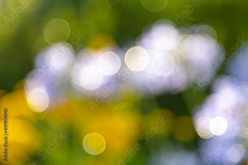 lensflares, blurred bokeh lights in white, yellow and green for webdesign, backgrounds, compositions and overlays photo