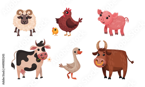Fototapeta Naklejka Na Ścianę i Meble -  Farm Animals with Cow and Sheep Vector Set