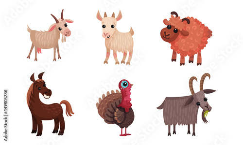 Farm Animals with Sheep and Goat Vector Set