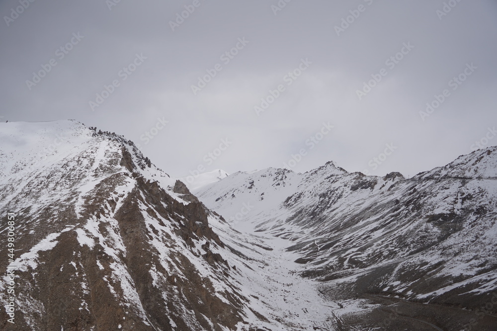 Mountain  snow view and Tasmina animal at leh ladakh, India