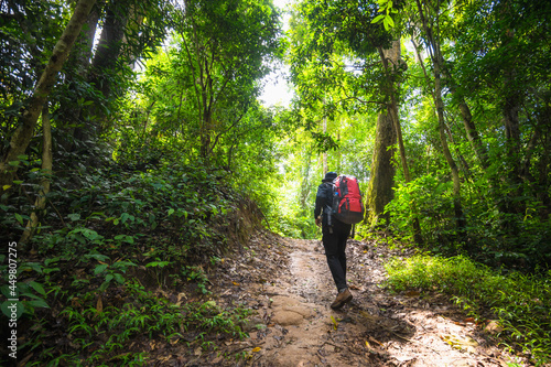Backpacker trekking to study nature of tropical forest for ecotourism. Tourist trekking to see the beauty of the tropical forest in Khao Yai National Park. UNESCO World Heritage Area, Unseen Thailand. © VR Studio