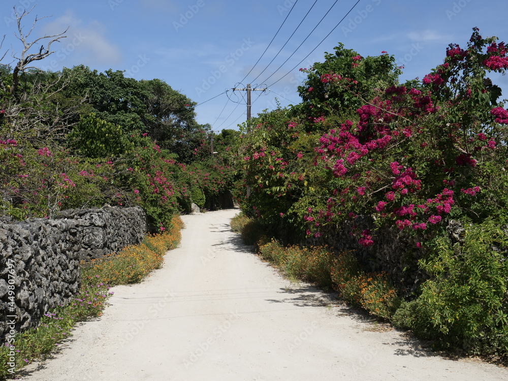 Okinawa,Japan - July 13, 2021: Traditional style coral covered road and red roof houses in Taketomi island, Okinawa, Japan
