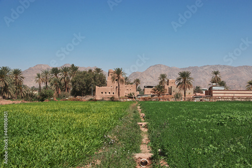 The garden in arab village close Najran, Asir region, Saudi Arabia