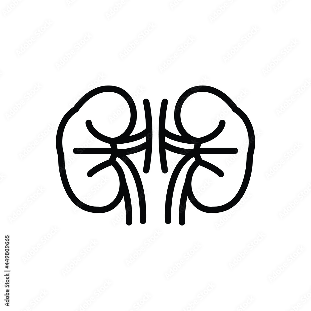 Obraz premium Black line icon for kidney
