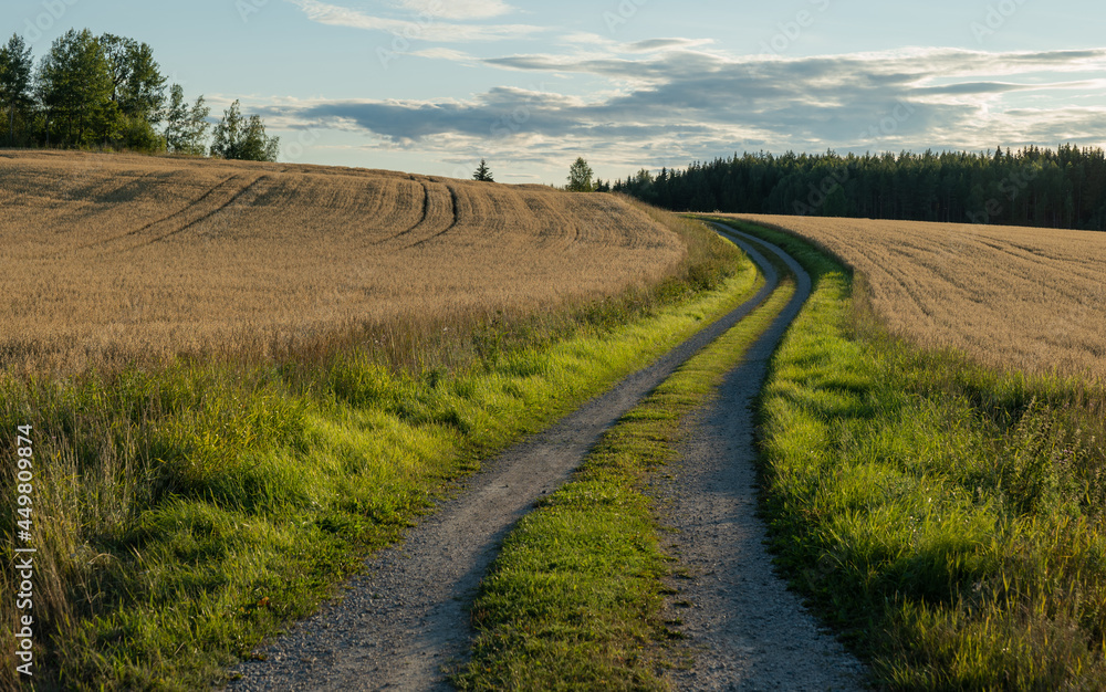 A typically Swedish rural farmland scene in sunset