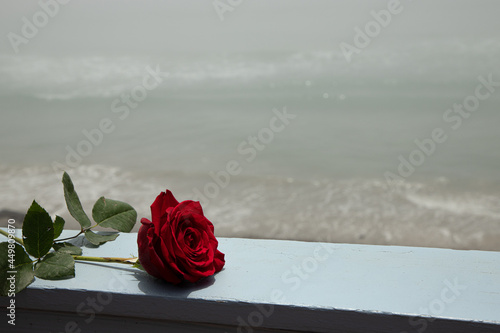 Single Red Rose on the Beach