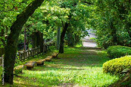  富山県富山市にある公園の風景 A view of a park in Toyama City, Toyama Prefecture