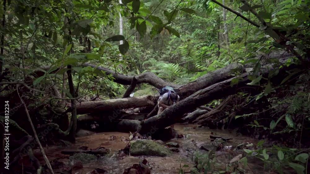 Male traveler hiker looking around exploring mountain river stream with hiking flashlight in jungle. Beautiful dense foliage, flowing creek scene in tropical rainforest. Adventures and extreme tourism Male traveler hiker looking around exploring mountain river stream with hiking flashlight in jungle. Beautiful dense foliage, flowing creek scene in tropical rainforest. Adventures and extreme tourism