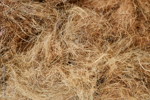 hay texture close up