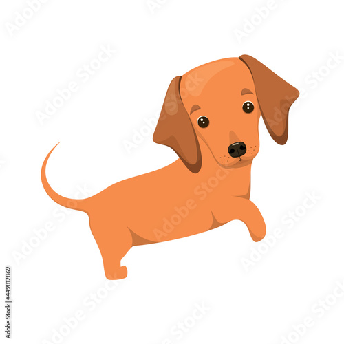 Cute puppy on a white background. A dachshund dog in a cartoon design.