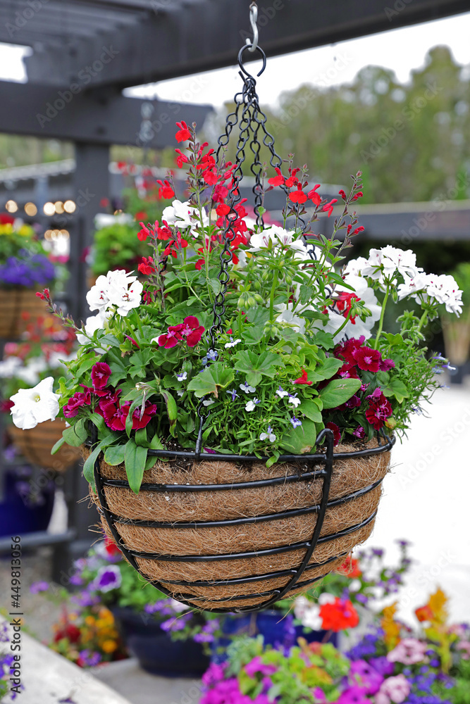 garden flower basket