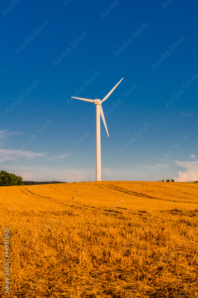 Erneuerbare Windenergie an einem Sommertag