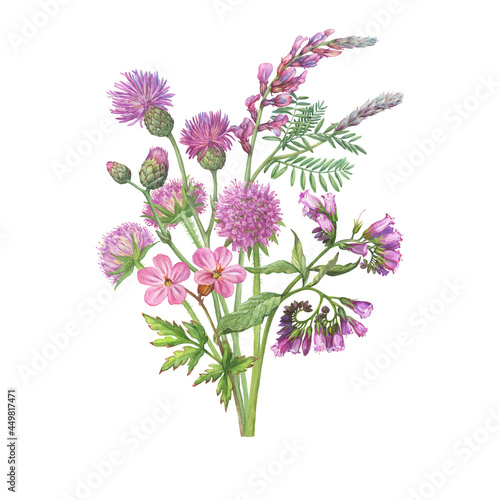 Bouquet with field thistle, sainfoin, comfre, mouse peas pink- vicia cracca, woodland geranium and sweet scabiosa flowers. Watercolor hand drawn painting illustration isolated on white background photo