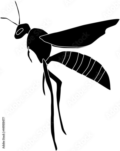 アシナガバチのシルエット素材